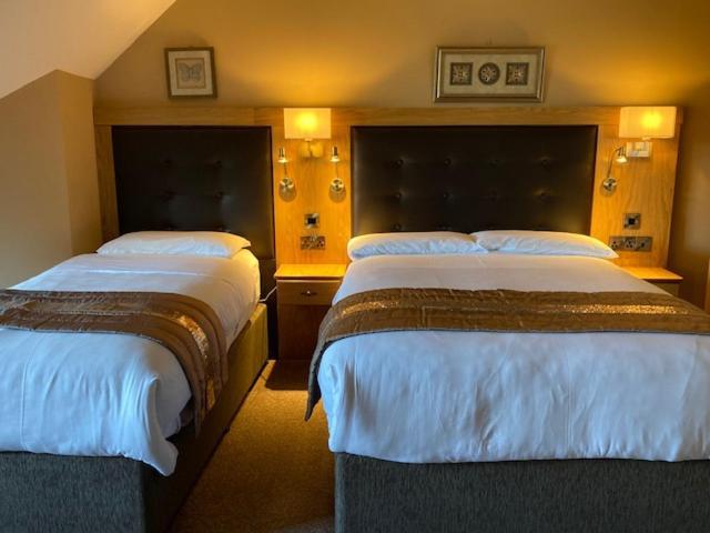 Tailors Lodge, Continental Breakfast Castleisland Εξωτερικό φωτογραφία